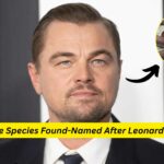 New Snake Species Named After Leonardo DiCaprio