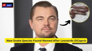 New Snake Species Named After Leonardo DiCaprio