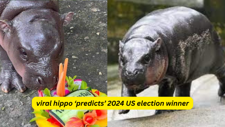 Thailand’s viral hippo